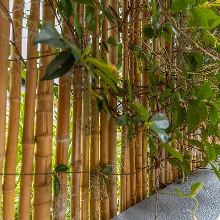 Ilha Natura Lägenhet *